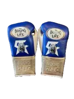 No Boxing No Life Boxing Gloves - Royal Blue & Metallic Gold Edition - PunchPro Boxing