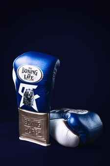 No Boxing No Life Boxing Gloves - Royal Blue & Metallic Gold Edition - PunchPro Boxing