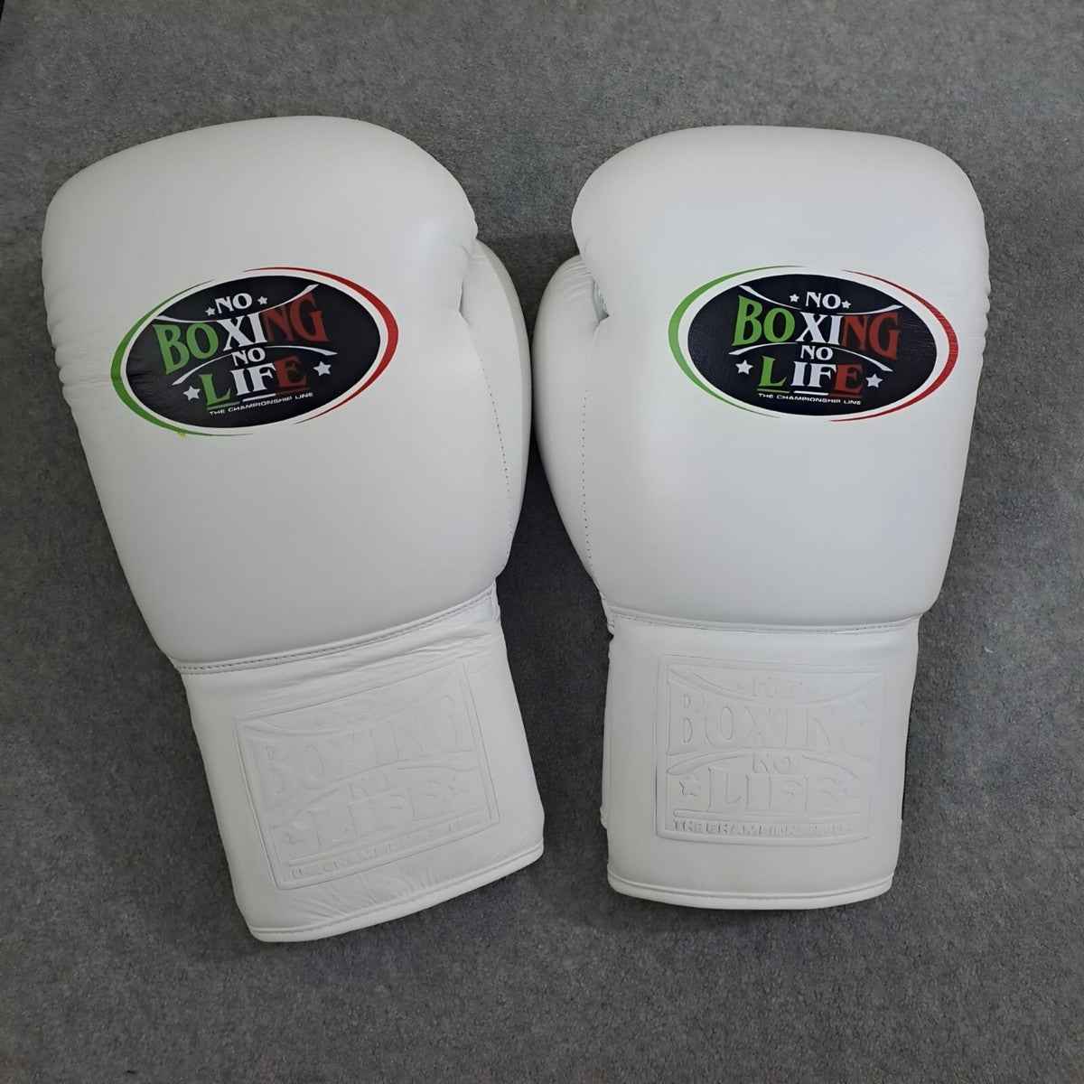 No Boxing No Life Professional Gloves, Headguard, and Groinguard Set - All-White Custom Edition - PunchPro Boxing