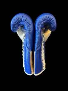 No Boxing No Life Boxing Gloves - Royal Blue & Metallic Gold Edition - PunchPro Boxing