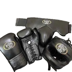 No Boxing No Life Professional Gloves, Headguard, and Groinguard Set - Triple Black Custom Edition - PunchPro Boxing