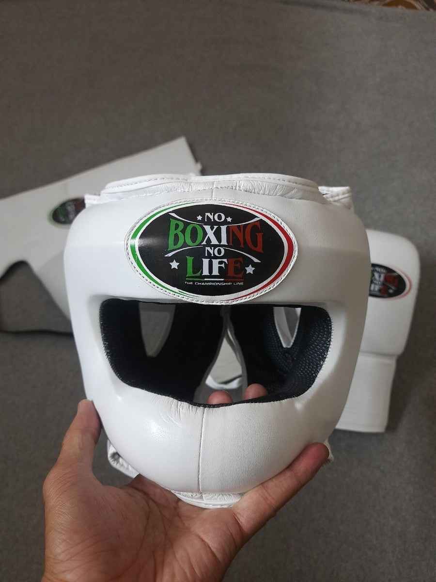 No Boxing No Life Professional Gloves, Headguard, and Groinguard Set - All-White Custom Edition - PunchPro Boxing