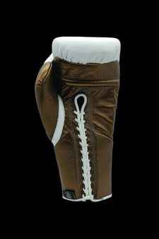 No Boxing No Life Boxing Gloves - Professional Lace-Up White & Bronze Edition - PunchPro Boxing