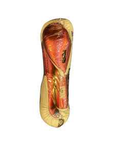 No Boxing No Life Professional Lace-Up Boxing Gloves - Red & White Edition - PunchPro Boxing