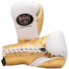 No Boxing No Life Professional Lace-Up Boxing Gloves - White & Metallic Gold Edition - PunchPro Boxing