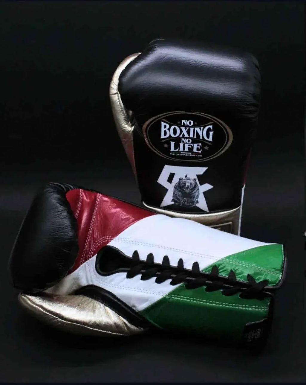 No Boxing No Life Professional Lace-Up Gloves - "Grizzly" Custom Mexican Flag Edition - PunchPro Boxing