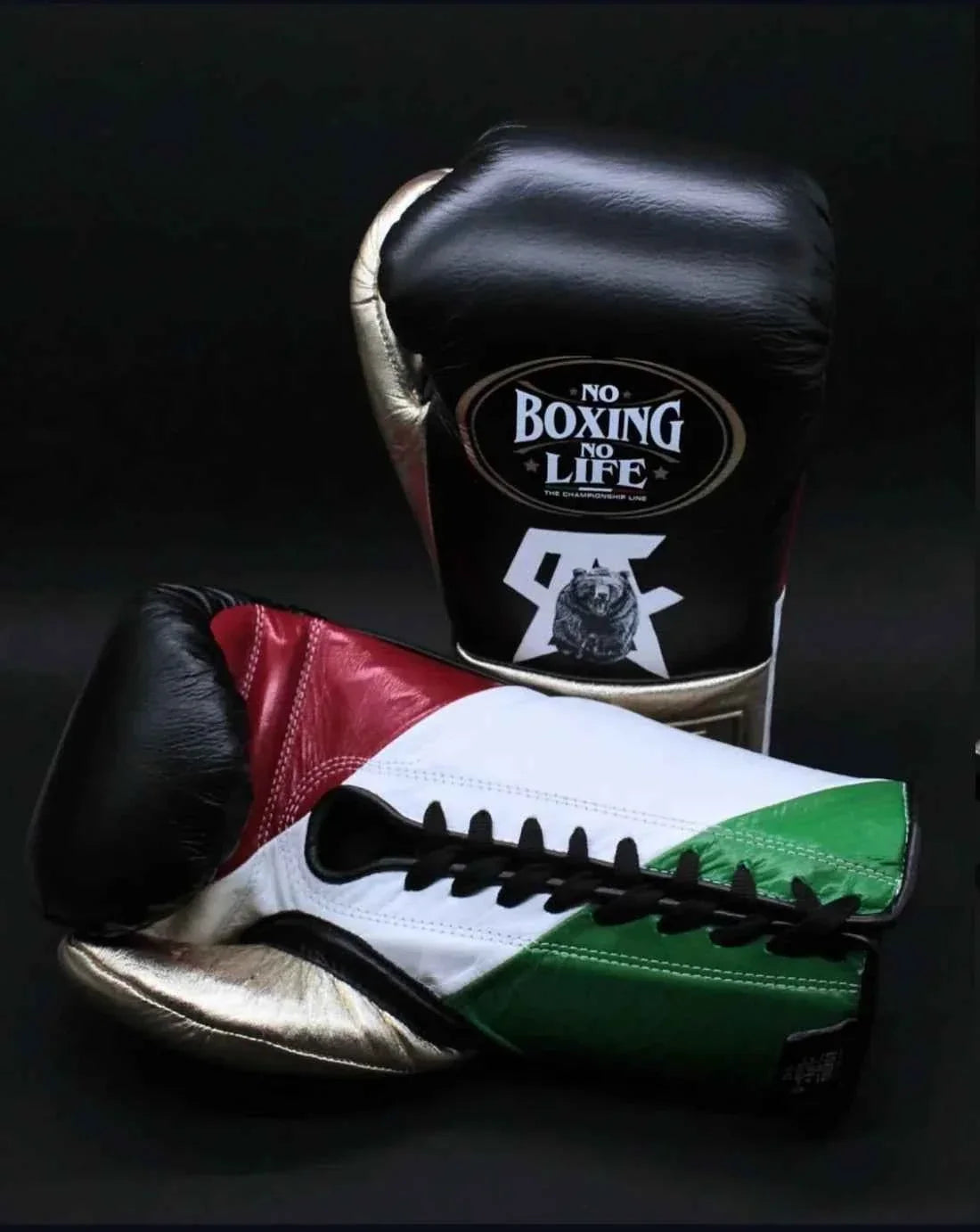 No Boxing No Life Professional Lace-Up Gloves - "Grizzly" Custom Mexican Flag Edition - PunchPro Boxing