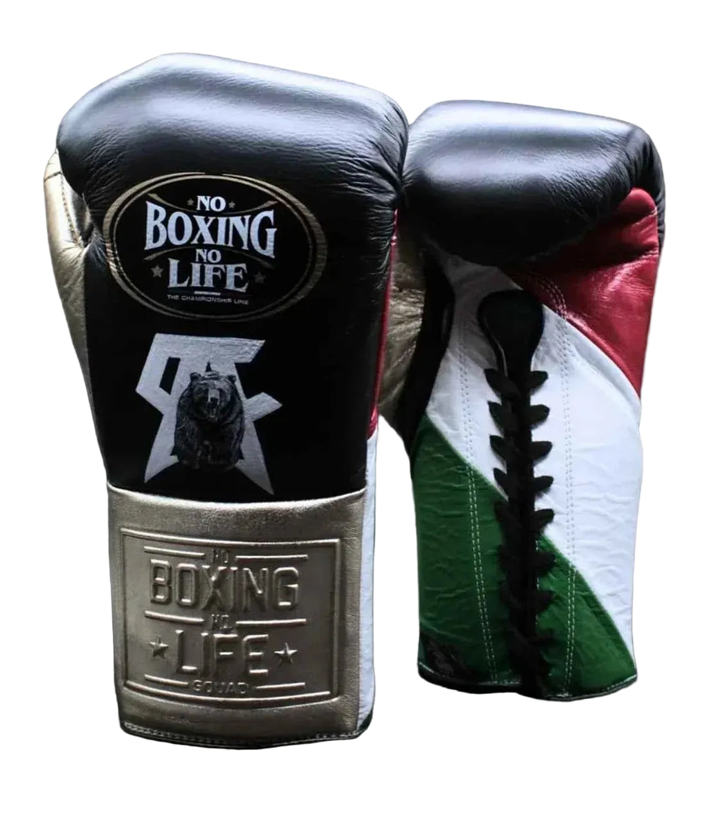 No Boxing No Life Professional Lace-Up Gloves - "Grizzly" Custom Mexican Flag Edition - PunchPro Boxing