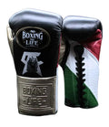 No Boxing No Life Professional Lace-Up Gloves - "Grizzly" Custom Mexican Flag Edition - PunchPro Boxing