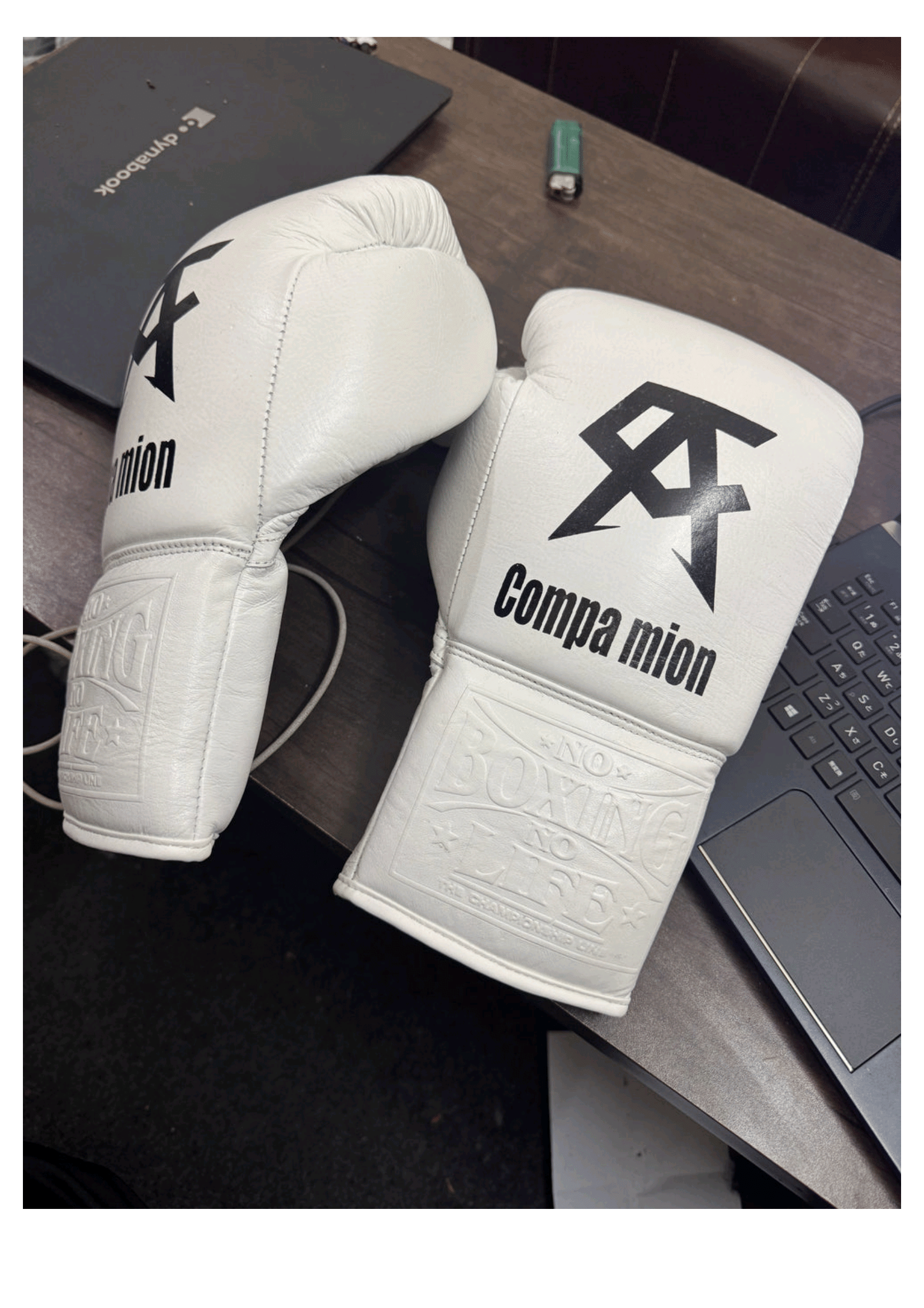 No Boxing No Life Professional Training Gloves - Compa mion White Edition - PunchPro Boxing