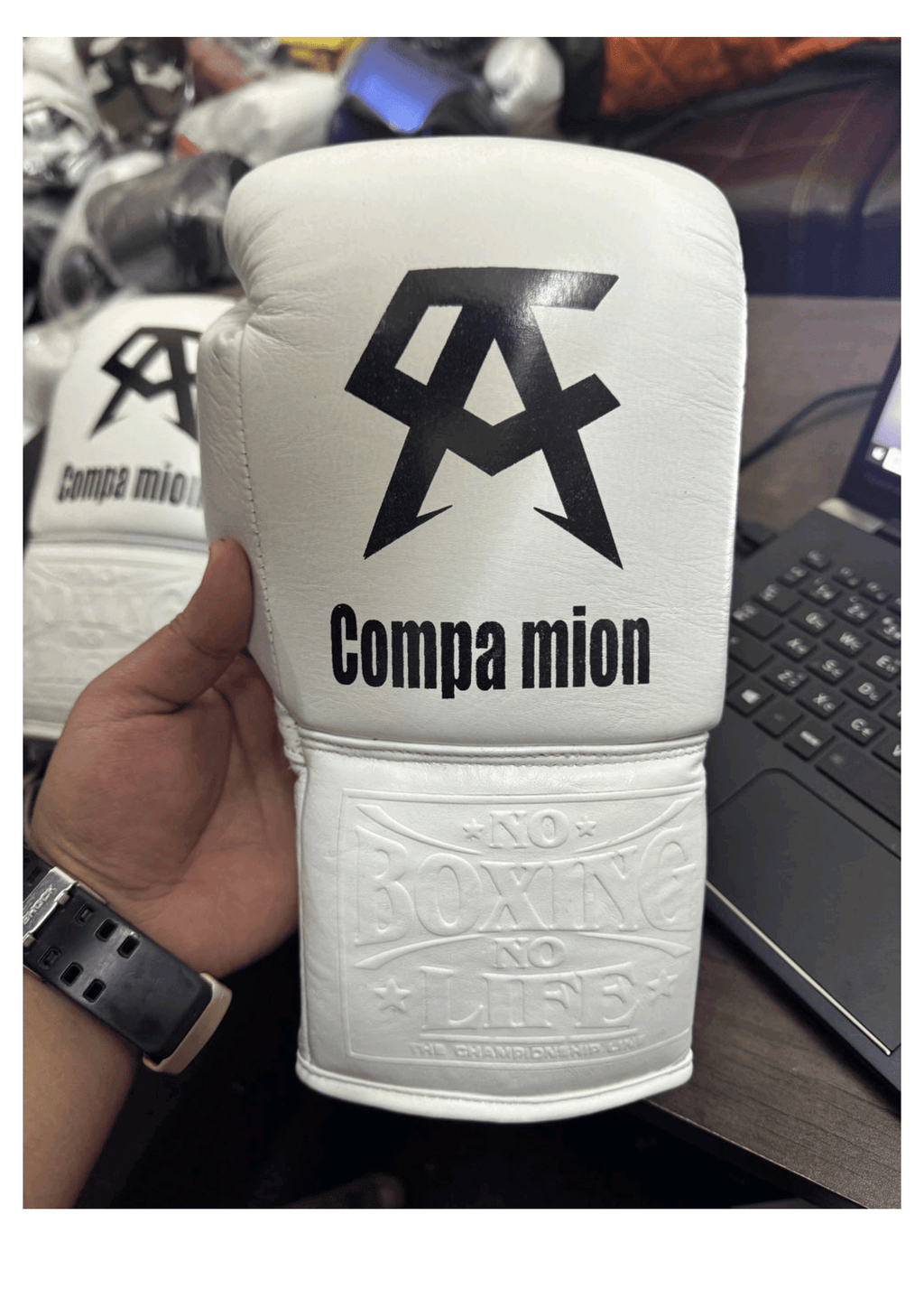 No Boxing No Life Professional Training Gloves - Compa mion White Edition - PunchPro Boxing