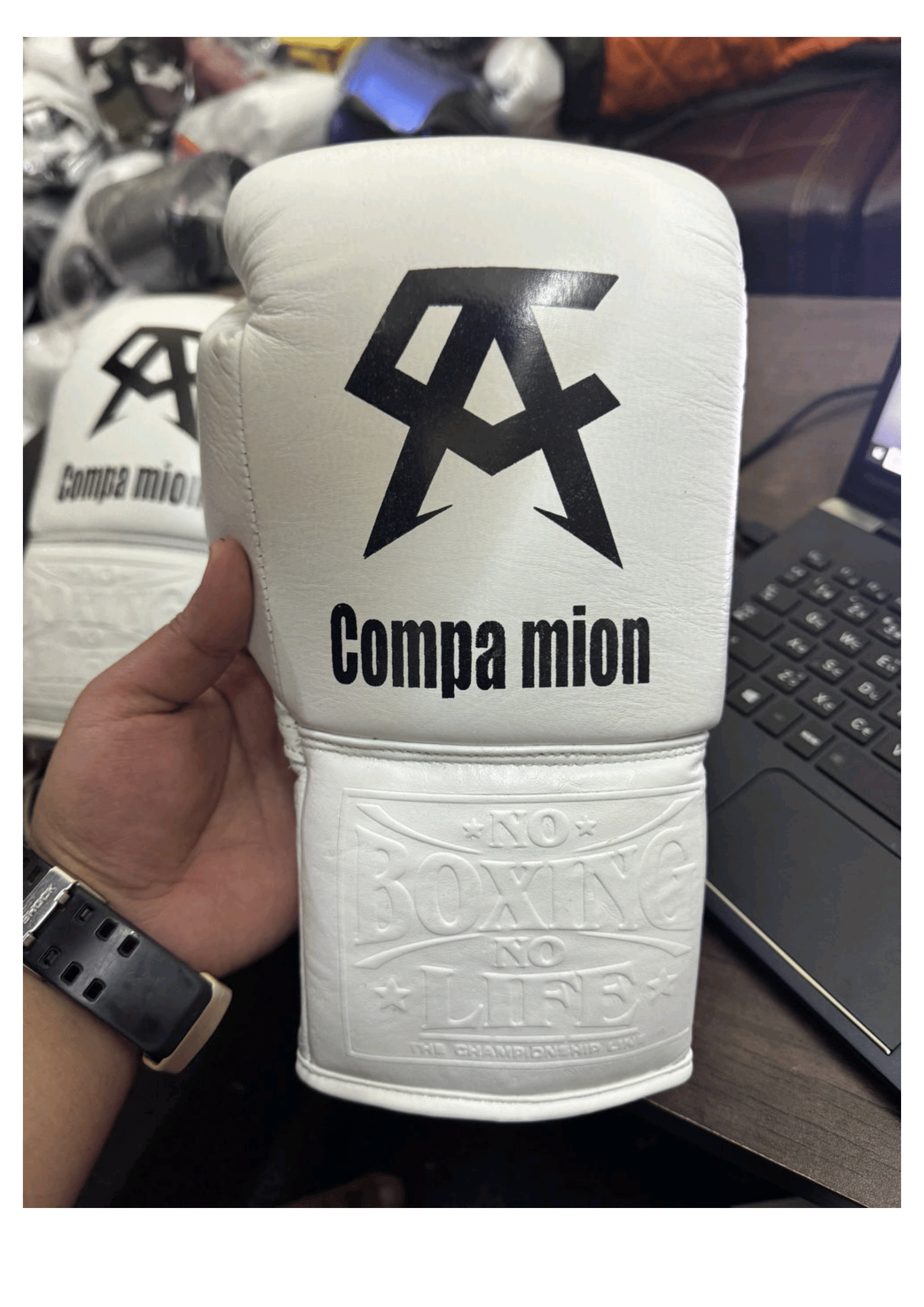 No Boxing No Life Professional Training Gloves - Compa mion White Edition - PunchPro Boxing